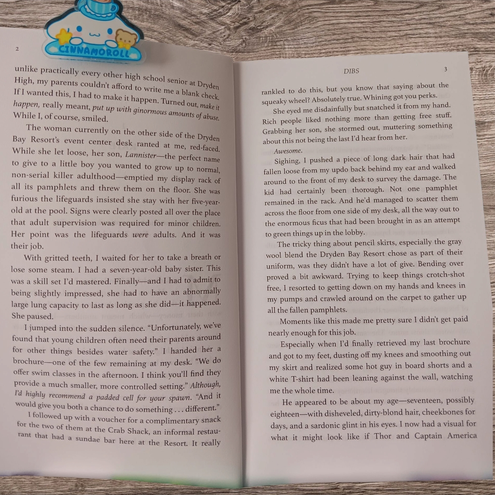 DIBS  Book - Picture 4 of 5